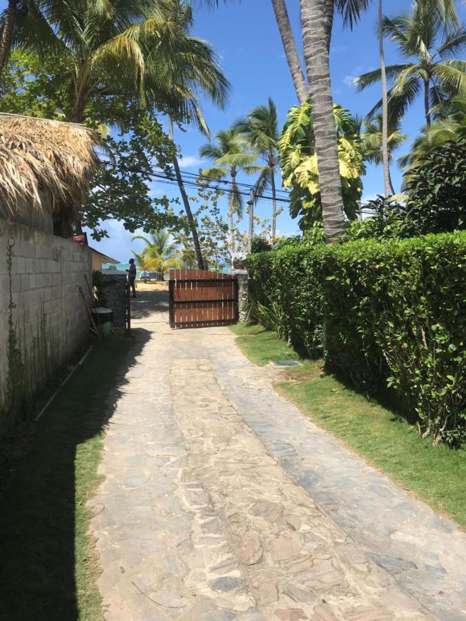 La Cortesana In Las Terrenas Exterior foto